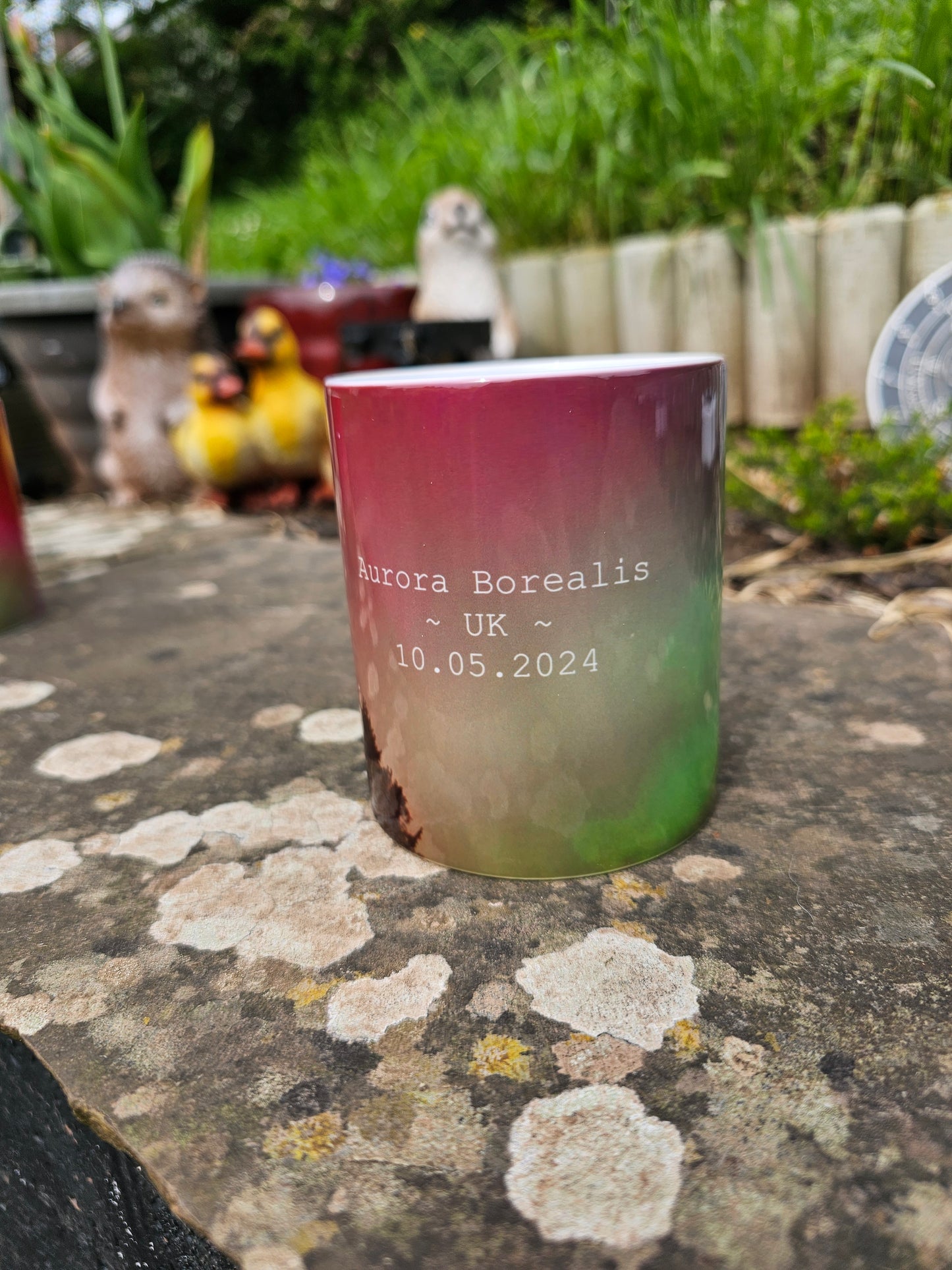 Aurora Borealis Mug